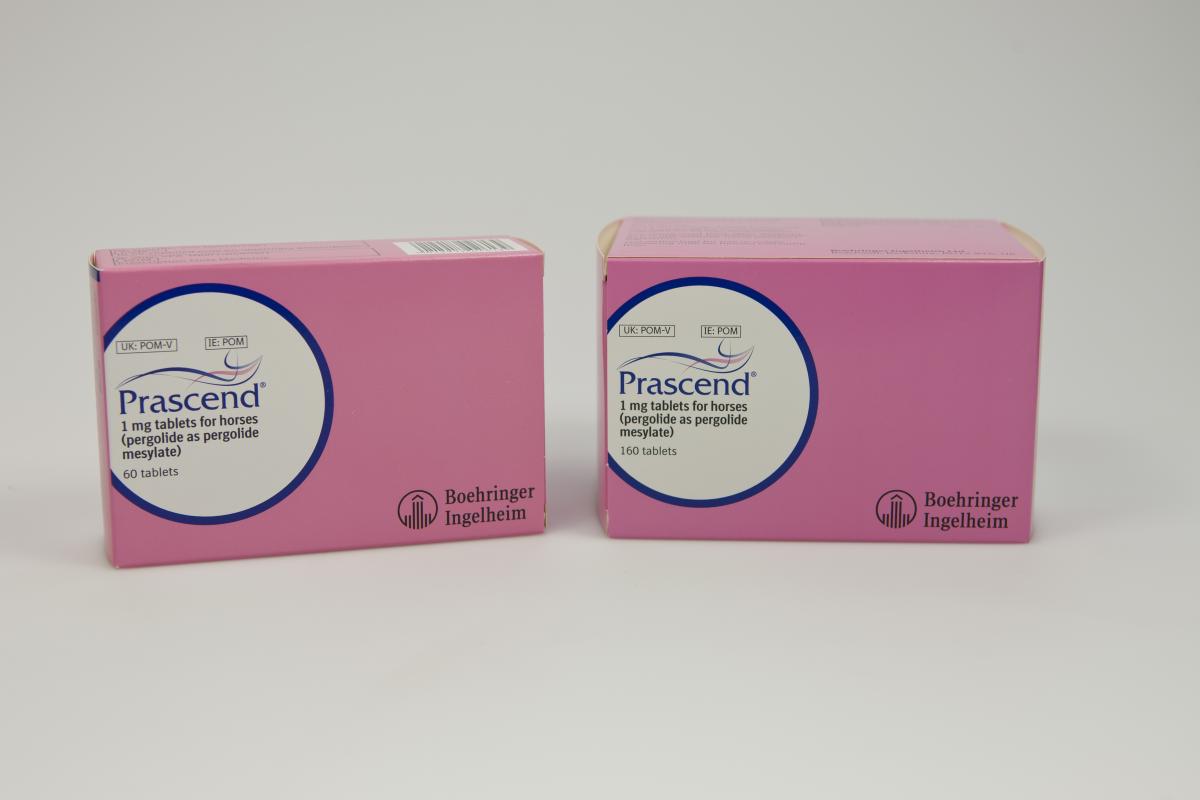 Prascend 2 boxes